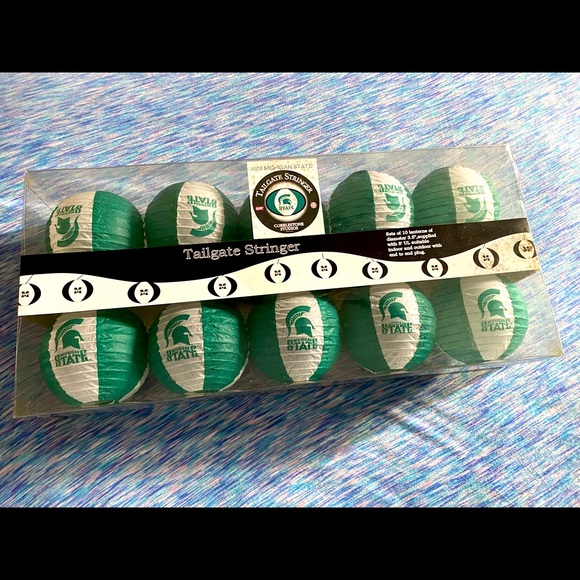 Michigan State tailgate stringer - Picture 3 of 3